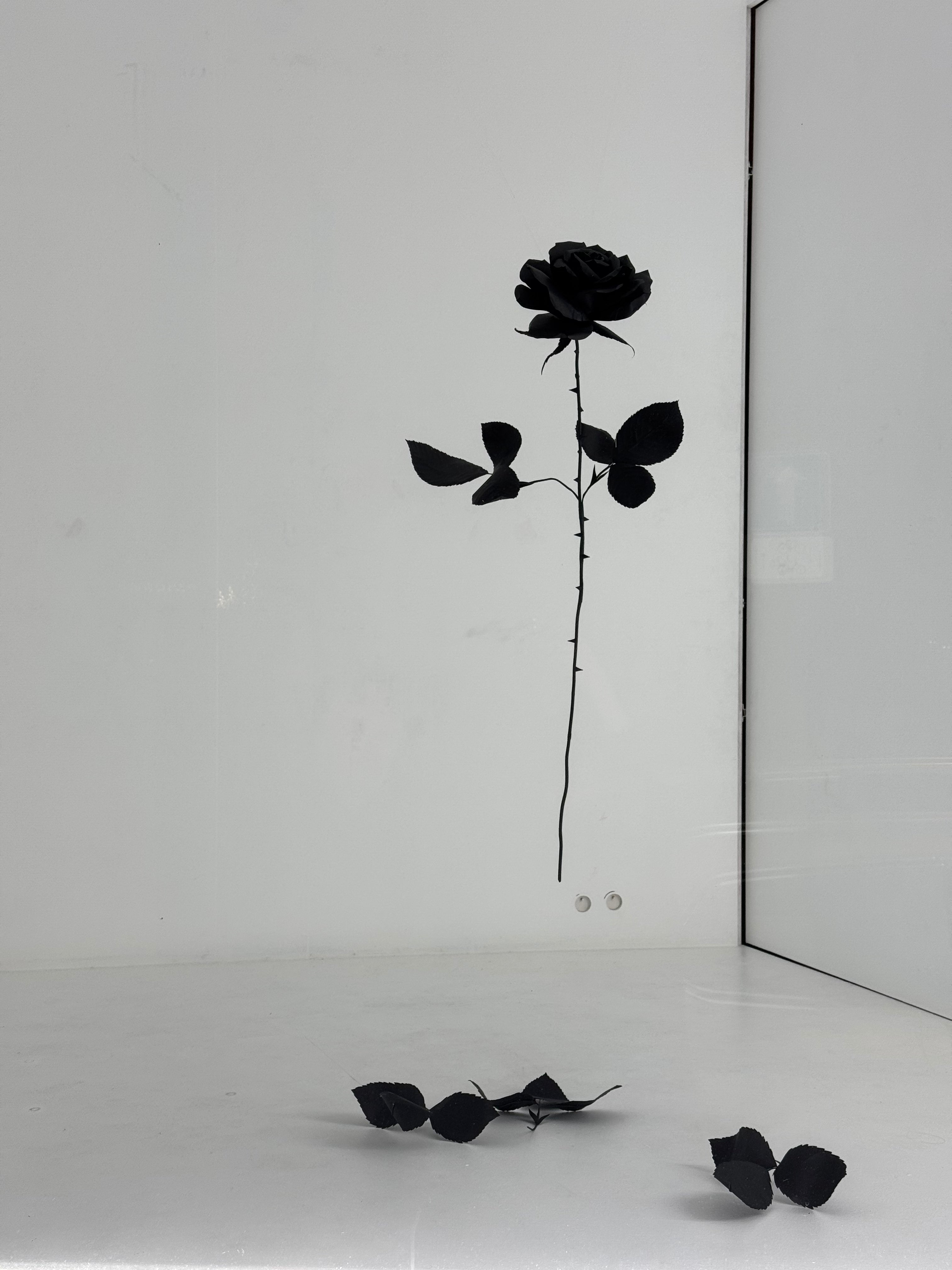 Black Paper Rose with Sharp Spikes | Art Installation – Mio Gallery