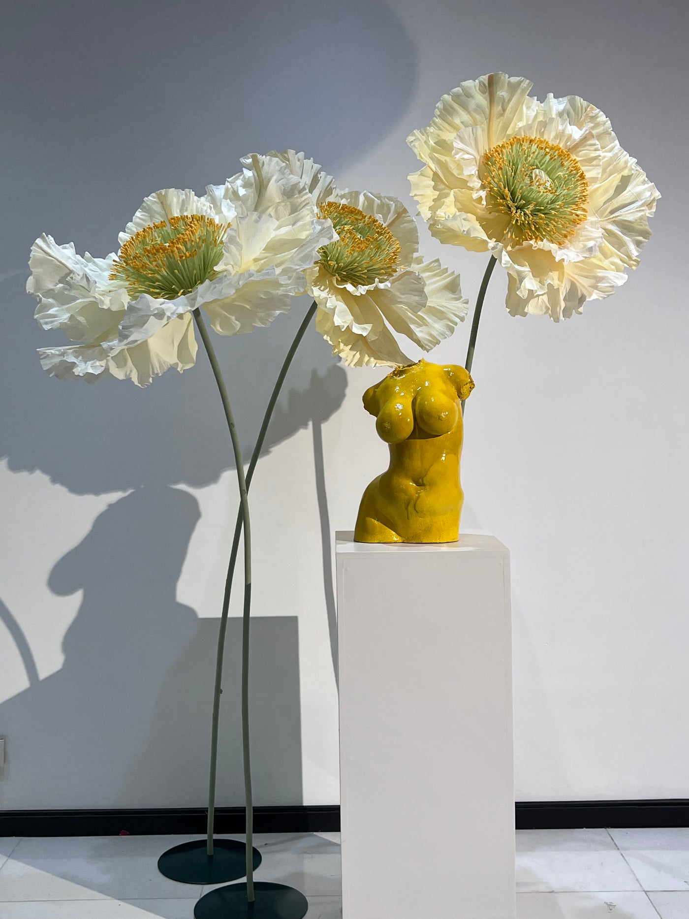 Large paper poppy with a sturdy stand and stem.