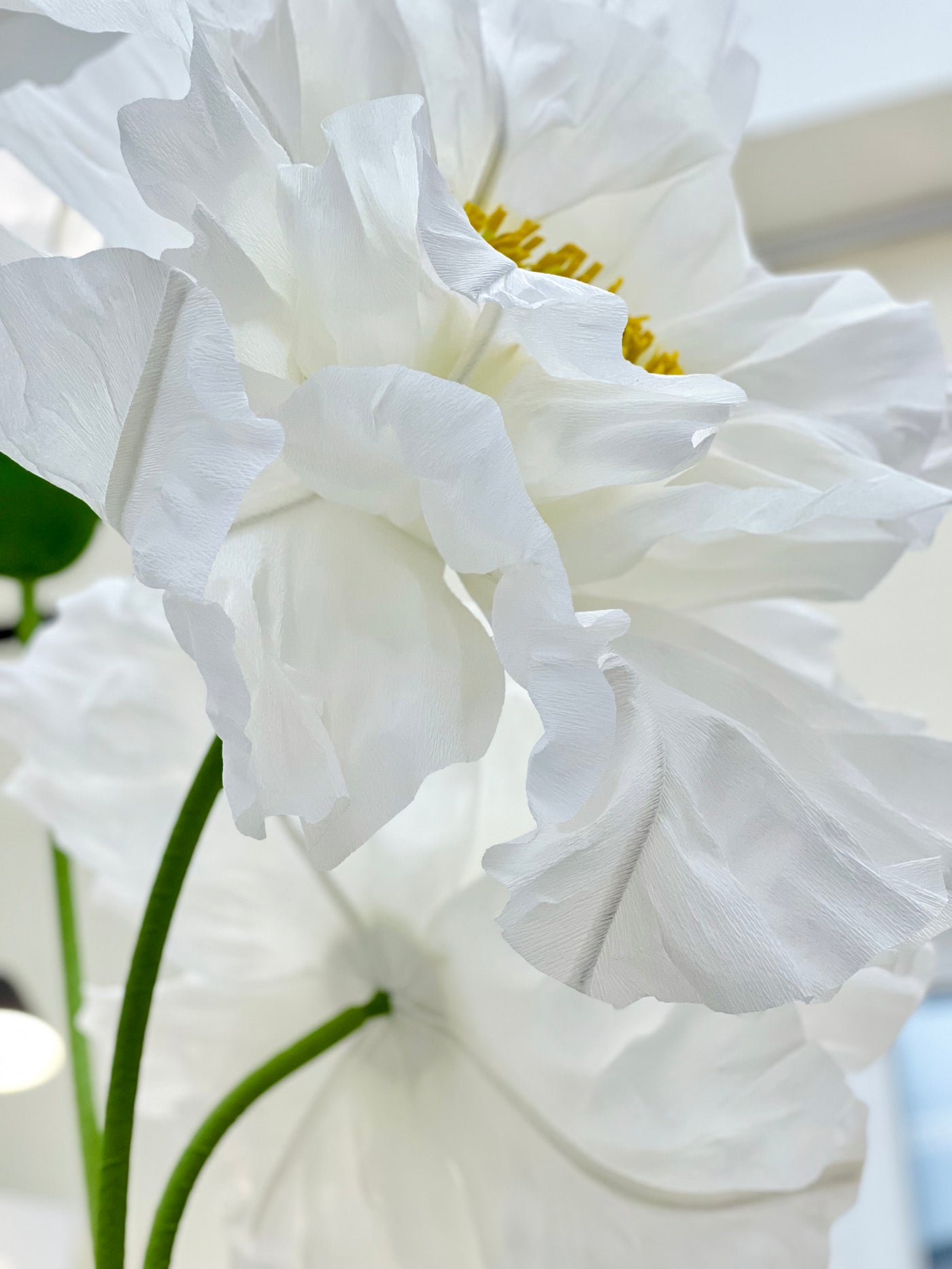 Large paper flowers to buy