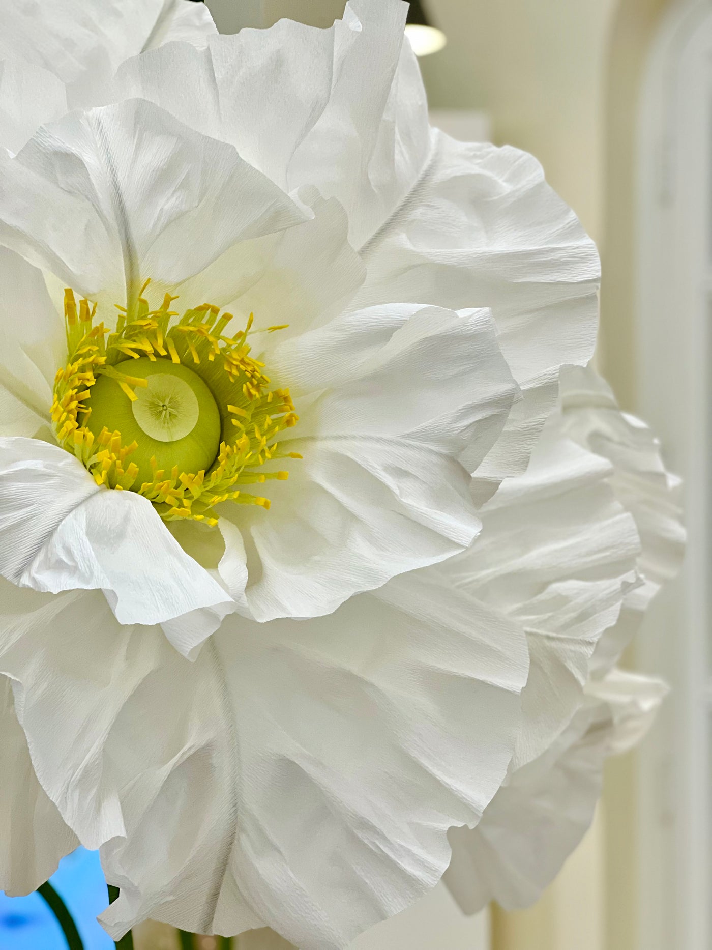 Large paper flowers to buy