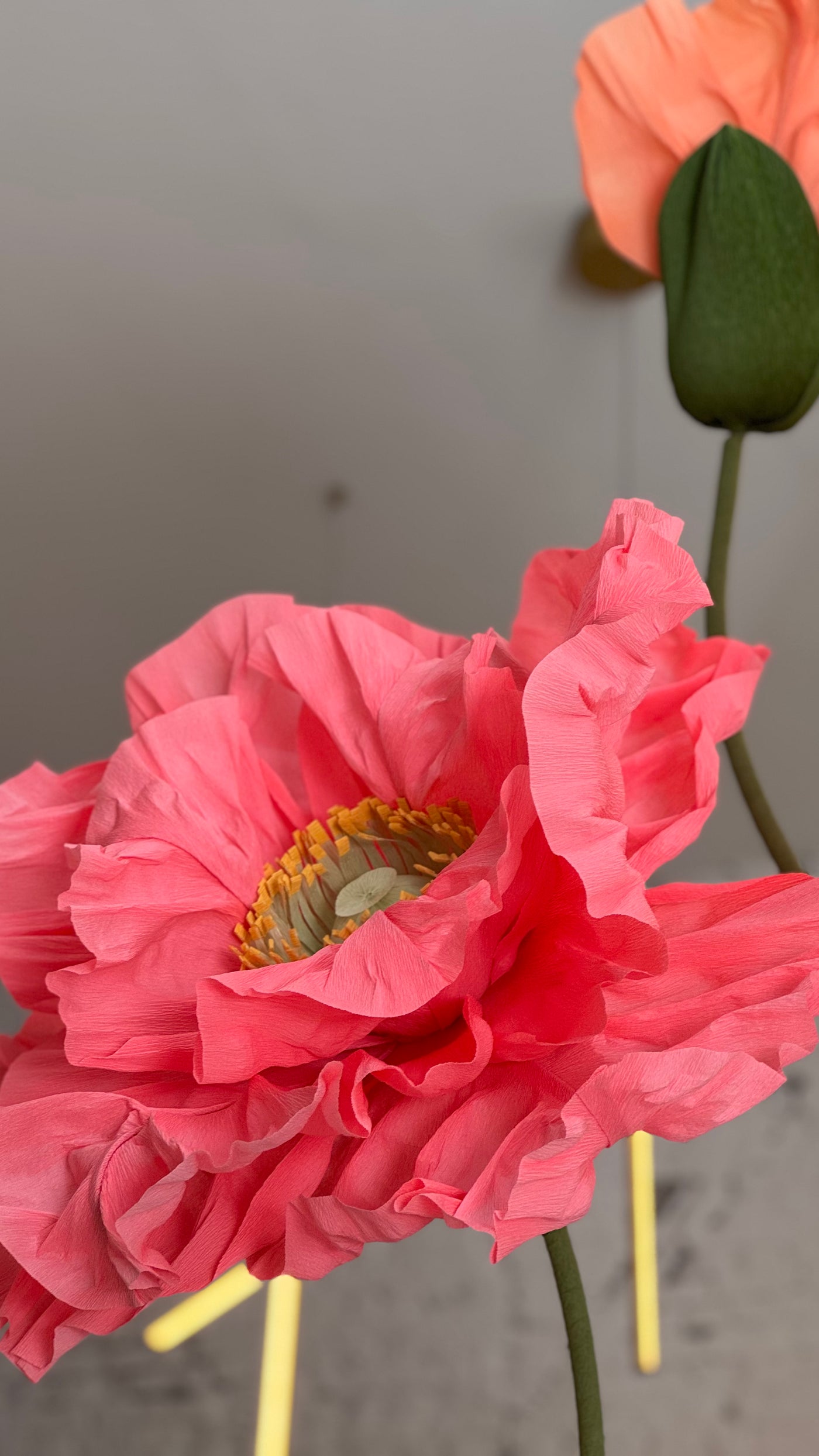 Oversized paper flowers - set of 4