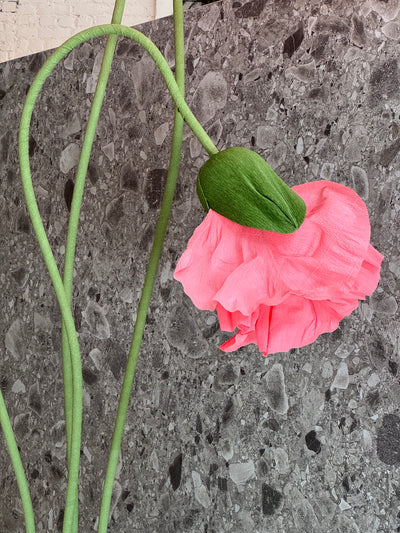 Oversized paper flowers - set of 4