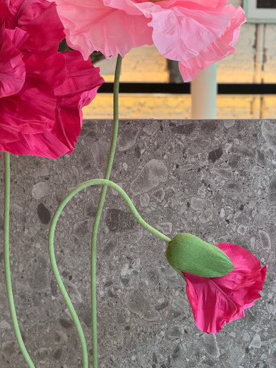 XL paper flowers – set of 3 blooms