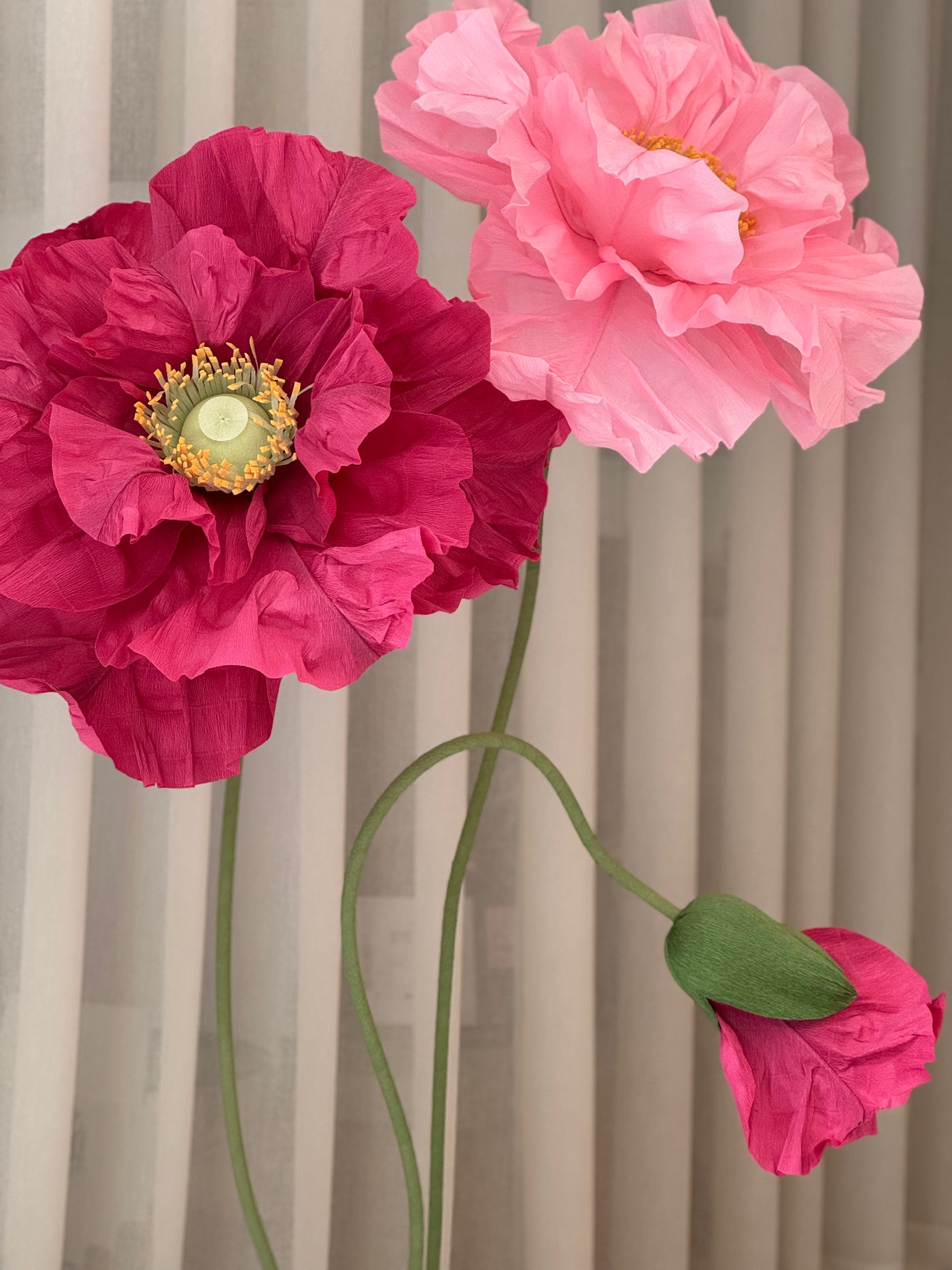 XL paper flowers – set of 3 blooms