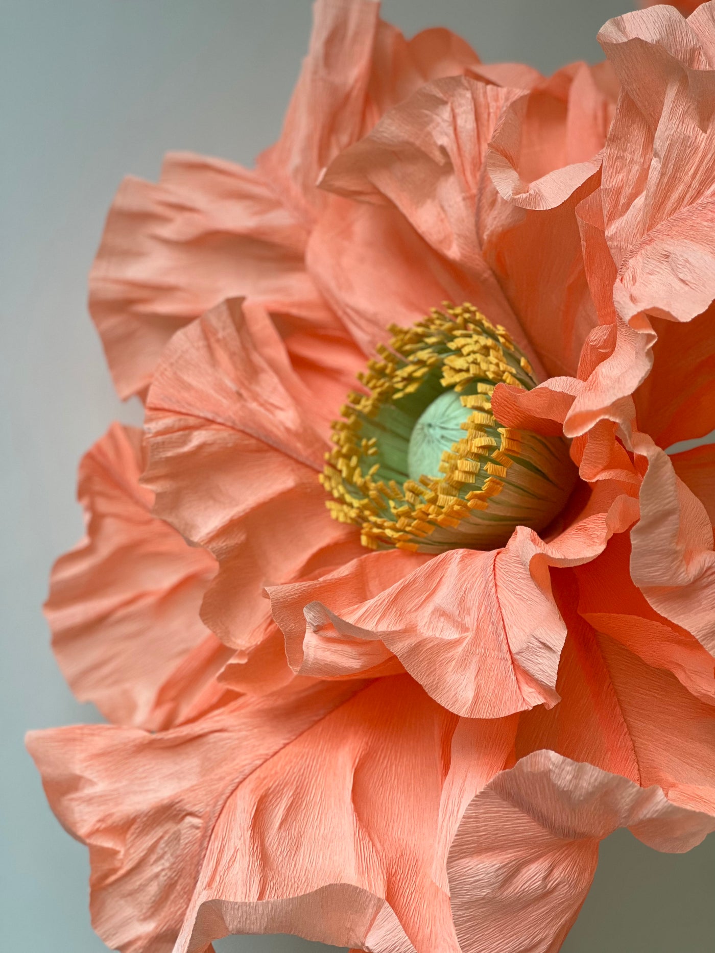 Scenography Paper Flowers - set of 3