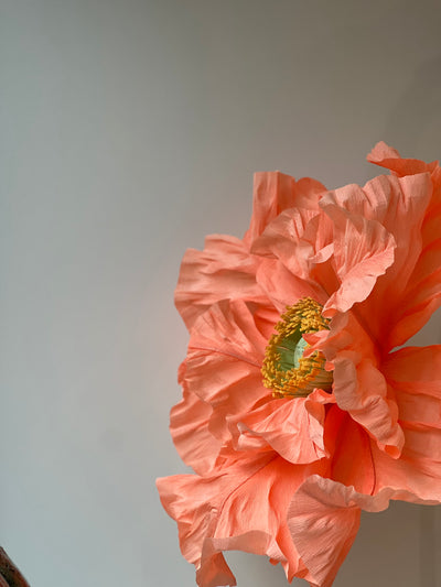 Scenography Paper Flowers - set of 3