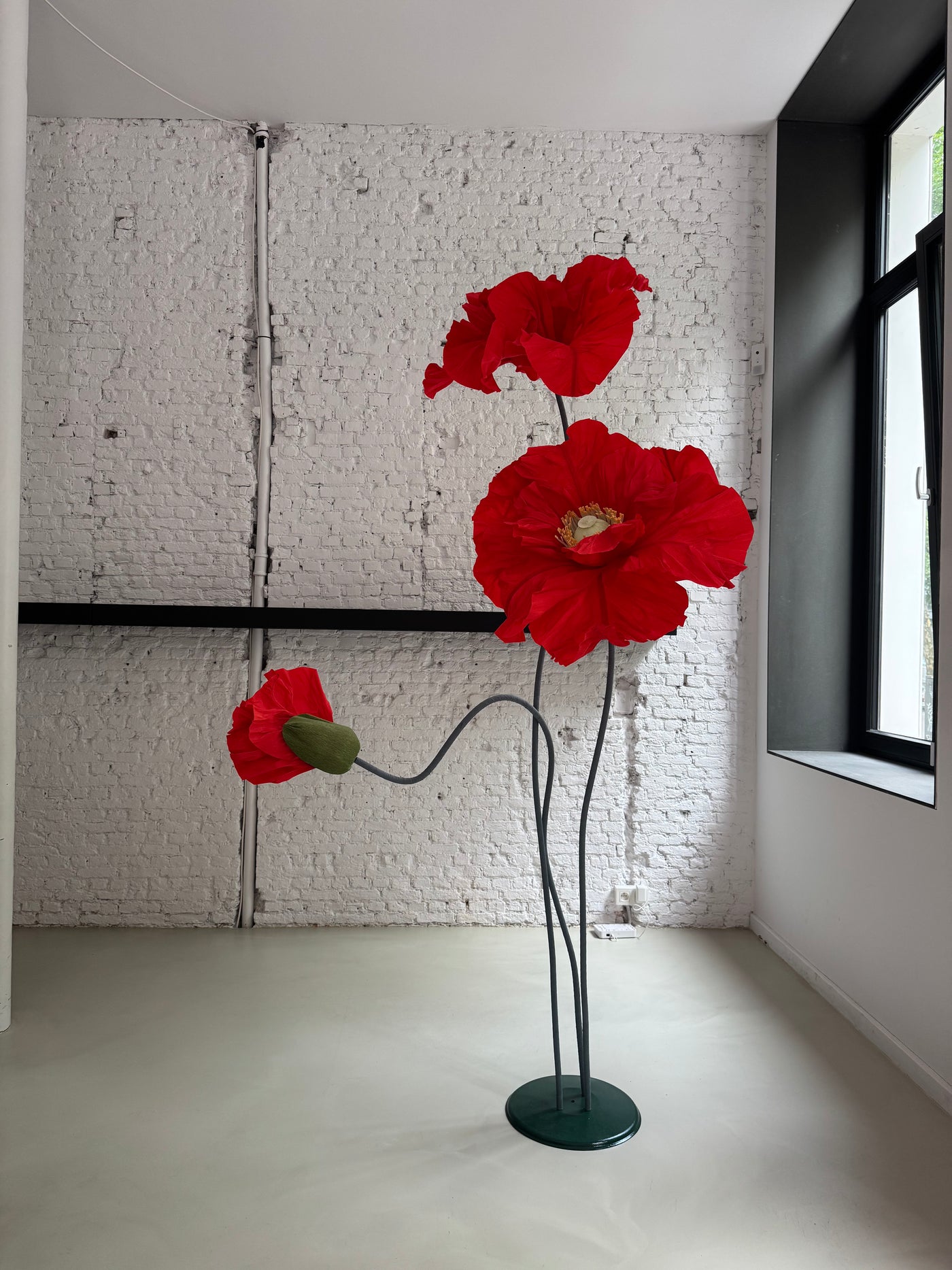 Red paper poppies set up