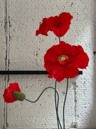 Red paper poppies set up