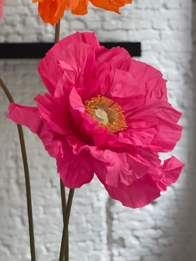 Sale: Paper poppies set up: 1 set available