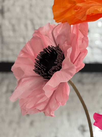 Sale: Paper poppies set up: 1 set available