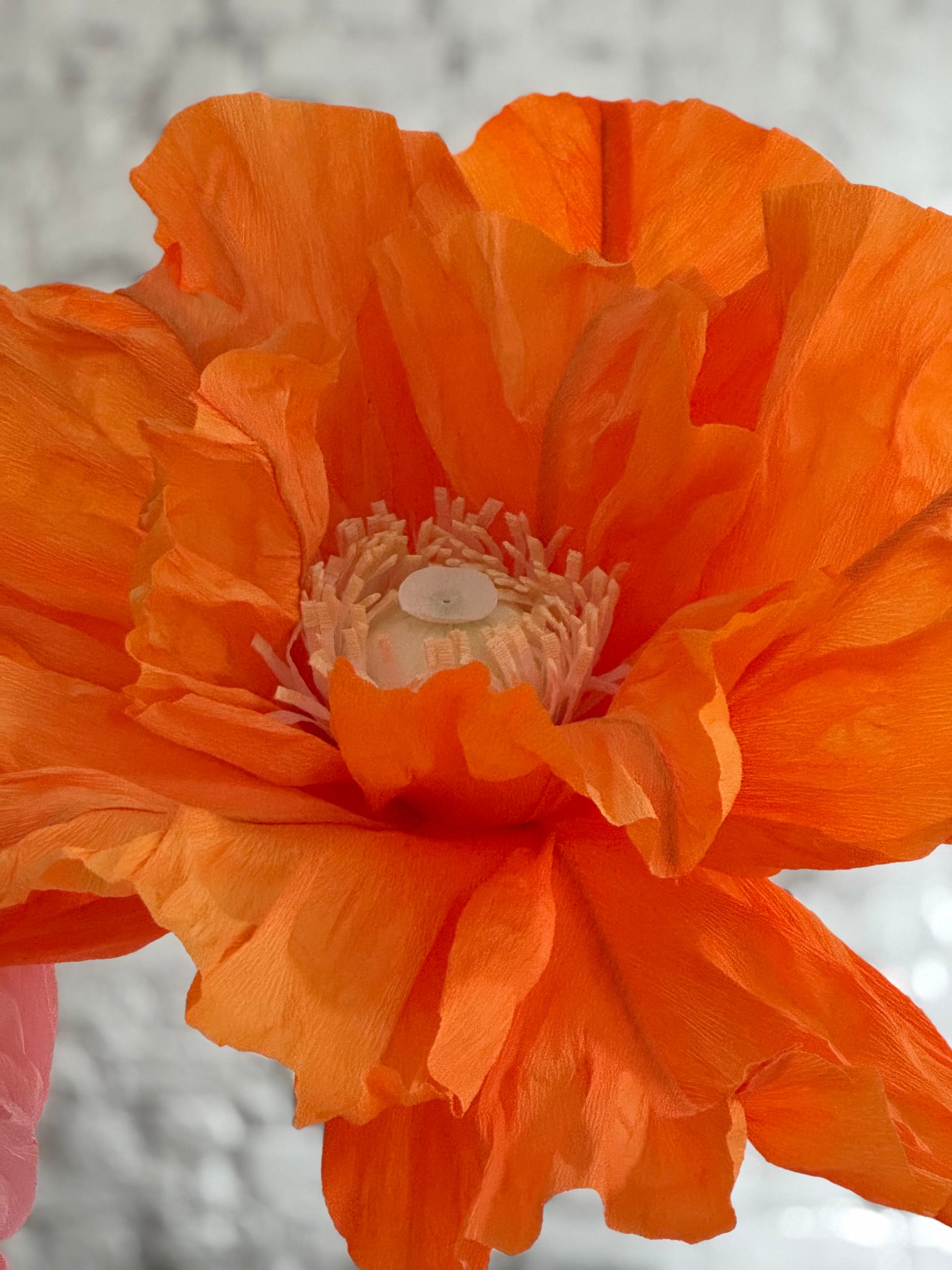 Sale: Paper poppies set up: 1 set available