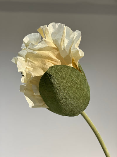 Event-ready paper flowers - make a statement with these free-standing poppies.