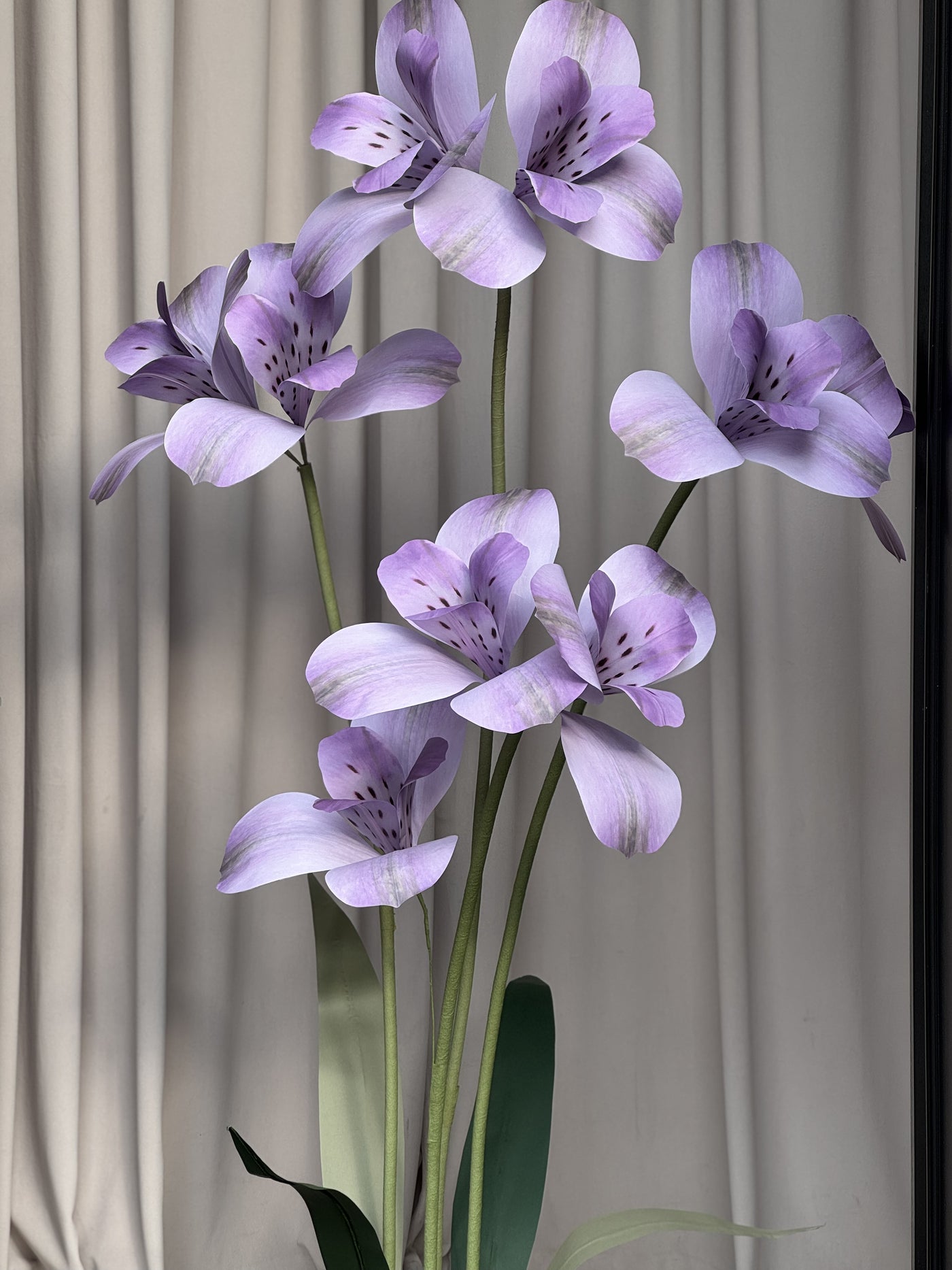 Purple Giant Paper Flowers - Alstroemeria