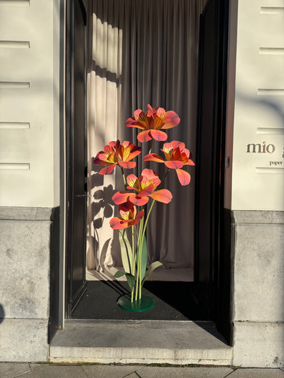 Huge Paper Flowers - Orange Alstroemeria