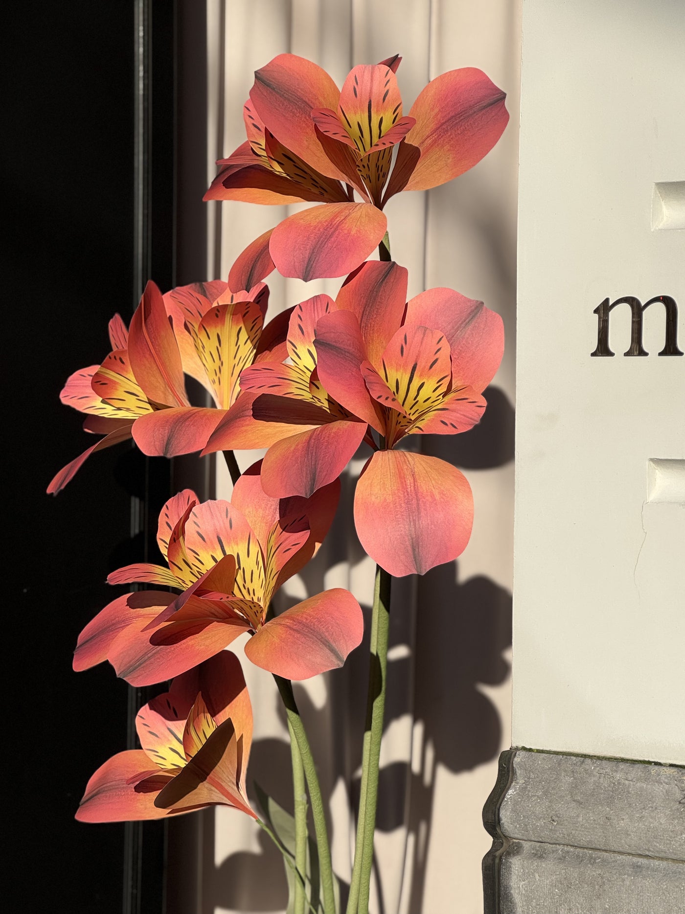 Huge Paper Flowers - Orange Alstroemeria