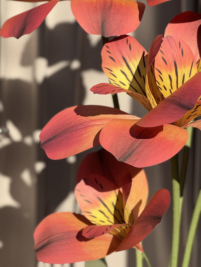 Huge Paper Flowers - Orange Alstroemeria