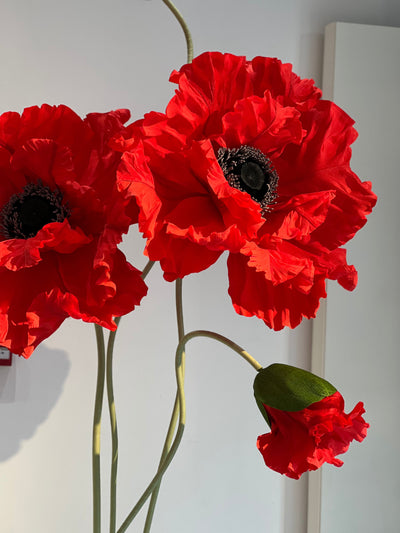 Vibrant red paper poppies, perfect for any occasion, part of our large paper flowers collection