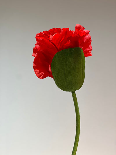 Beautiful paper poppies, a blend of artistry and sophistication for your decor.