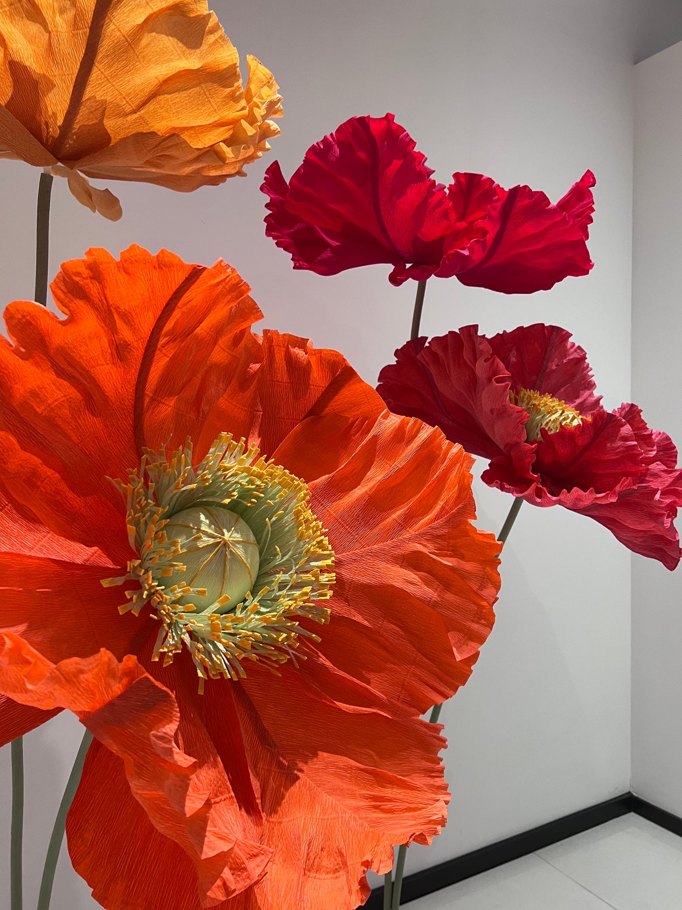 Large paper poppies on stands displayed at Mio Gallery