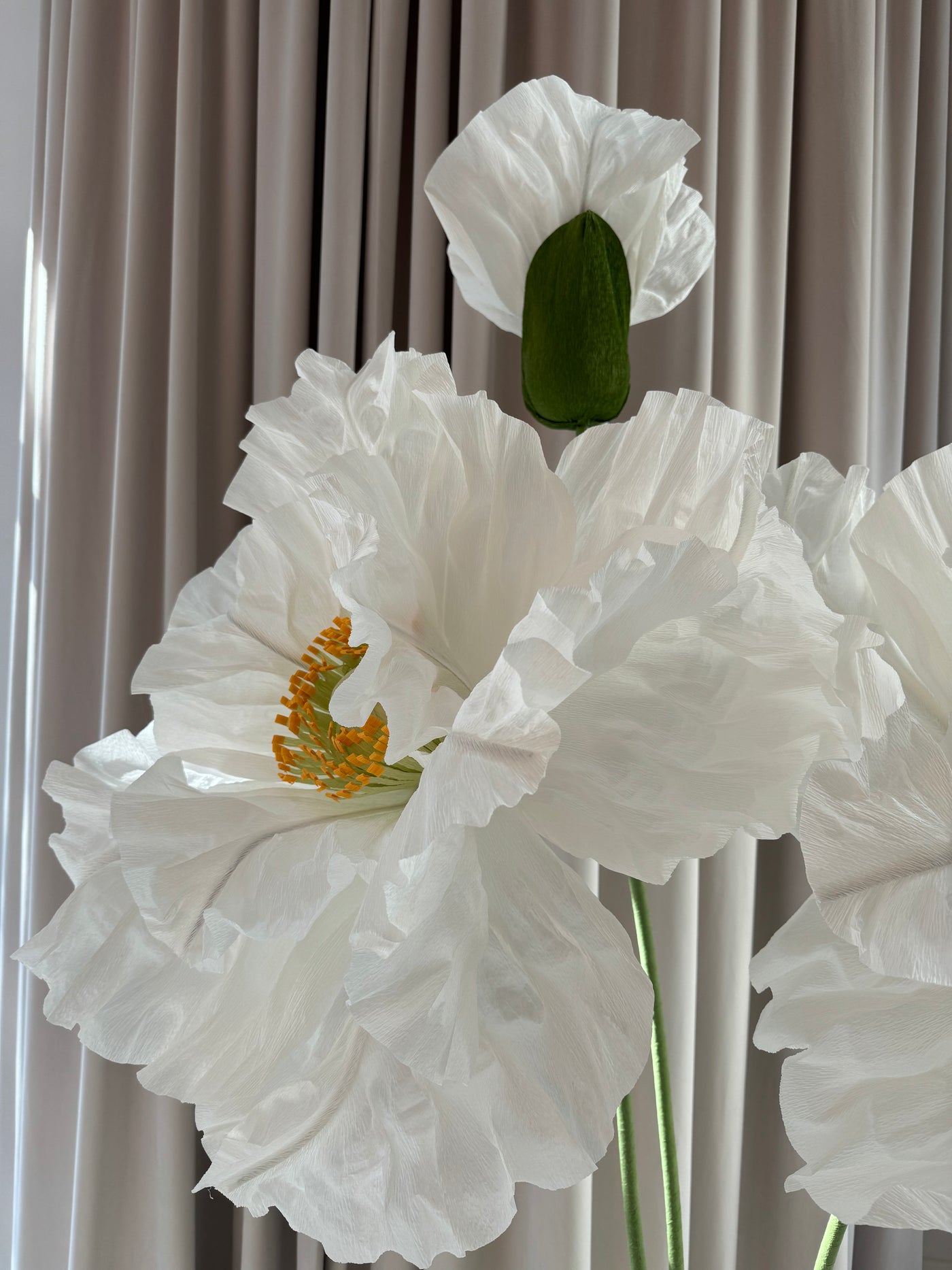 Giant paper flowers for window displays