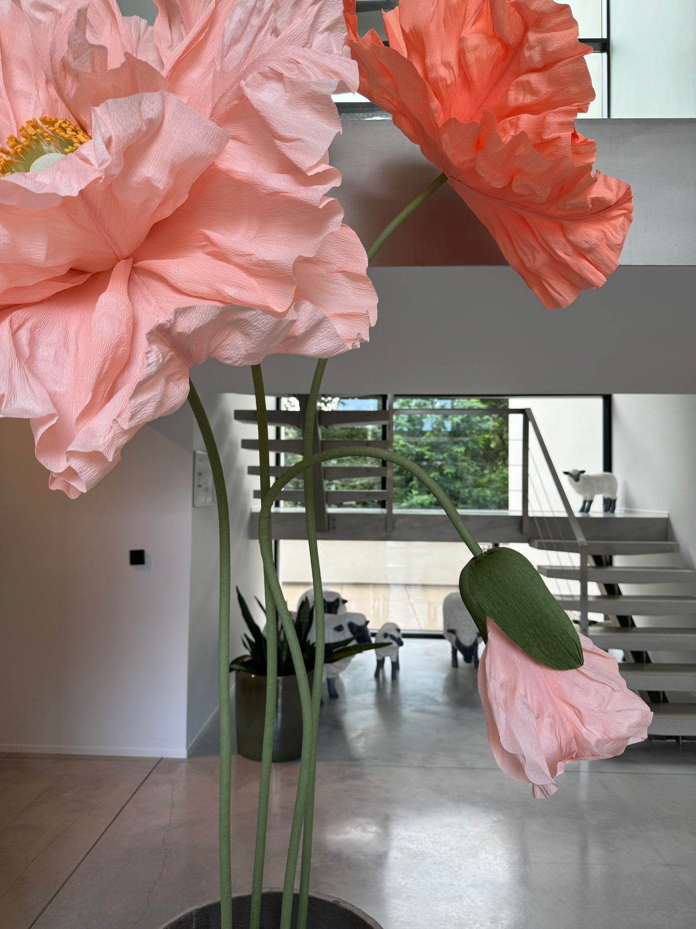 Giant paper poppies for stylish window display