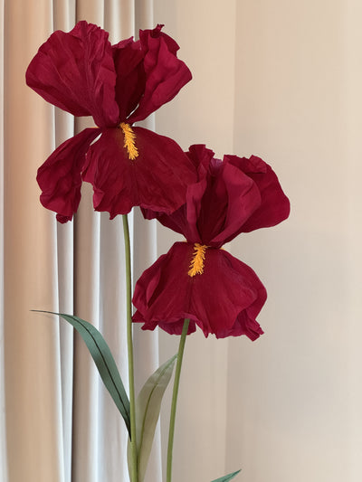 Large paper iris flower with leaves