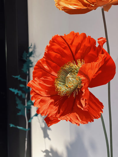 Iconic Californian free-standing paper poppy by Mio Gallery.