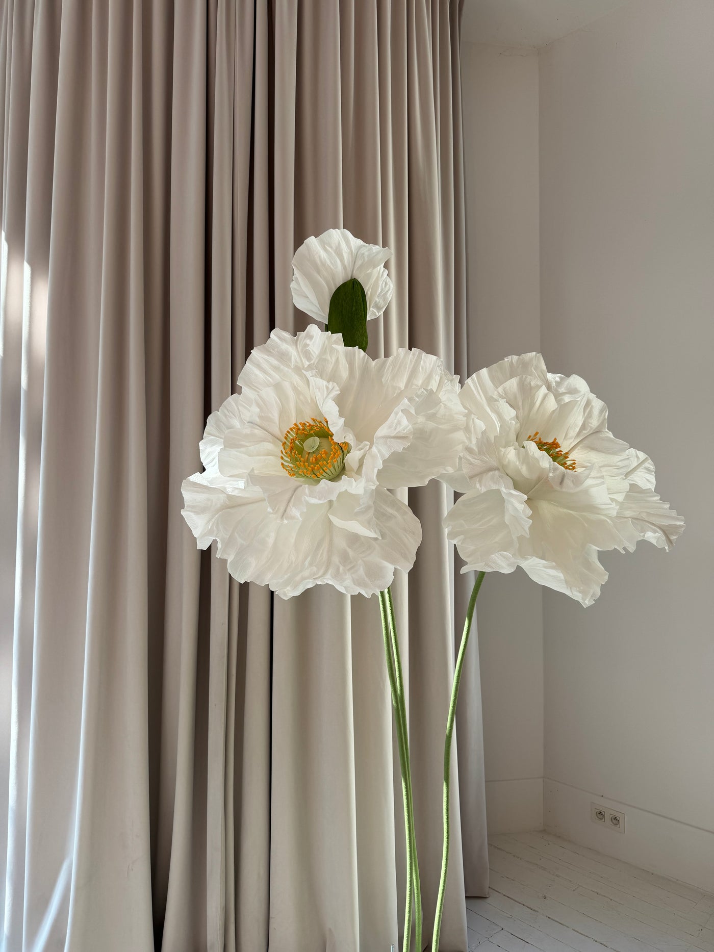 Giant paper flower backdrop display