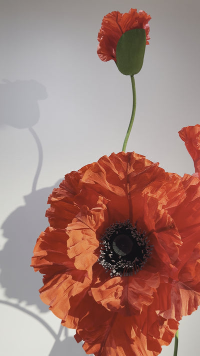 Captivating paper flowers, including stunning poppies, for every special moment.