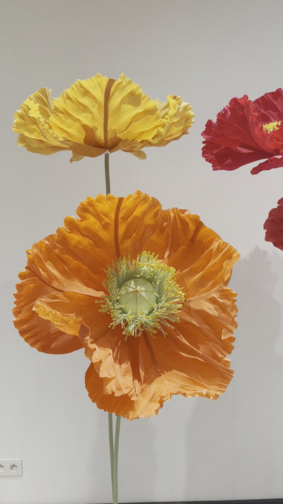 Video of free-standing paper flowers resembling red poppies