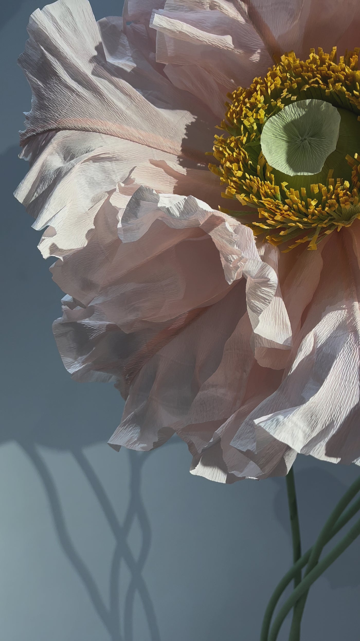 Riesige Papierblumen in Blush und Misty Rose – große Papierblumen