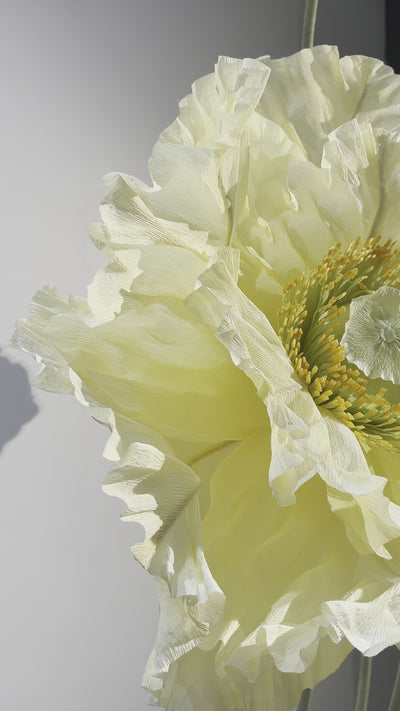 Video showcasing the beauty of oversized standing paper poppies for event decor - elegant and captivating paper flower arrangements.