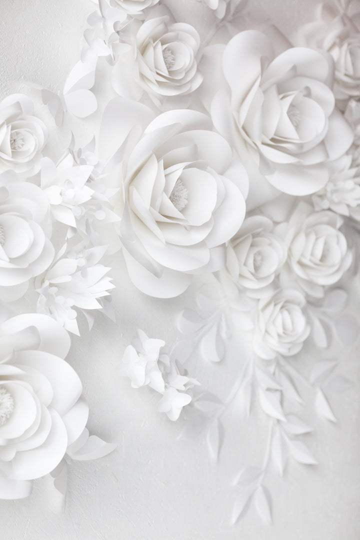 Elegant White Paper Flower Wall Art – Mio Gallery
